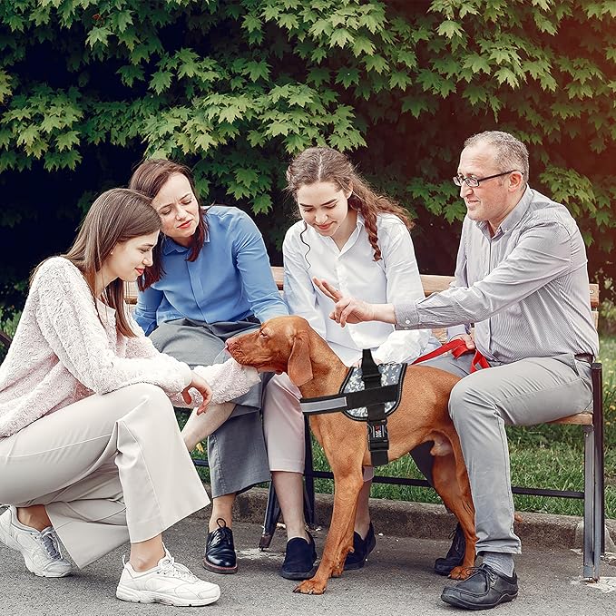 Dogline Dog Harness, Reflective No-Pull Adjustable Vest with Handle for Walking, Training, Breathable, No - Choke Harness for Small, Medium or Large Dogs Room for Patches Girth 18 to 24 in Urban Camo