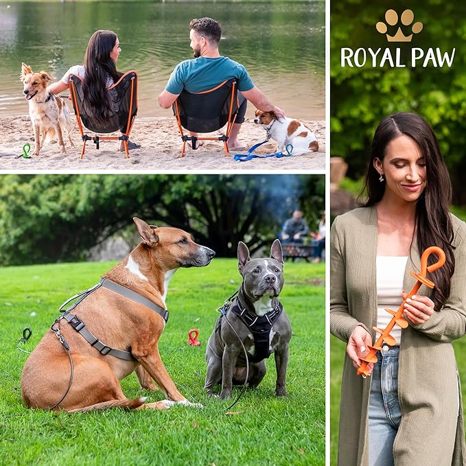 ROYAL-PAW Dog Tie Out Stake - for Large Dogs up to 210 lbs - Heavy Duty Dog Stake for Yard, Beach & Camping Outside - Best in Ground Anchor for a Dog Cable, Leash, Lead Tether (1, Blue)