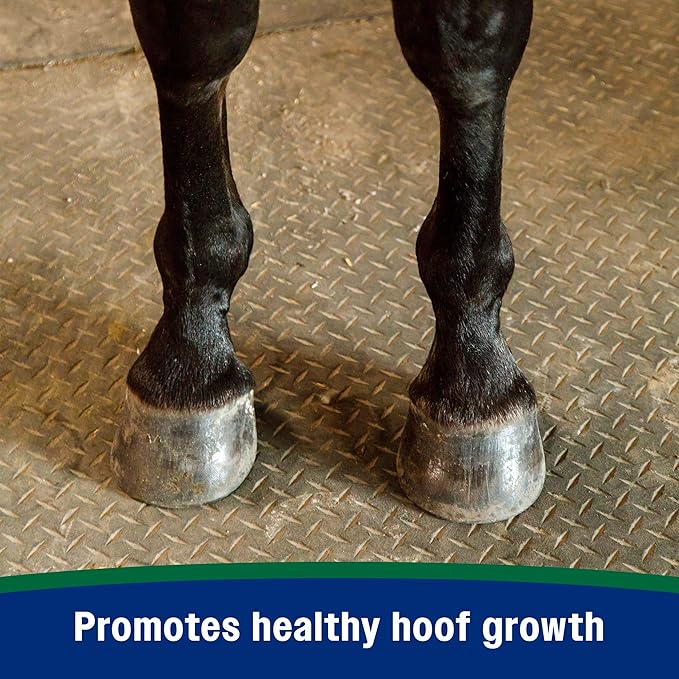 Farnam Horseshoer's Secret Pelleted Hoof Supplement for horses promotes healthy hoof growth, 22 lb., 60 day supply