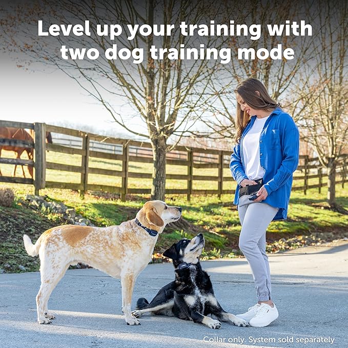 PetSafe Pro Remote Trainer Add-A-Dog Collar – Extra Collar for Dog Training Collar with Remote – Waterproof – 1000 Ft Range – Tone, Vibration and 19 Levels of Static – Sleek, Low-Profile Design