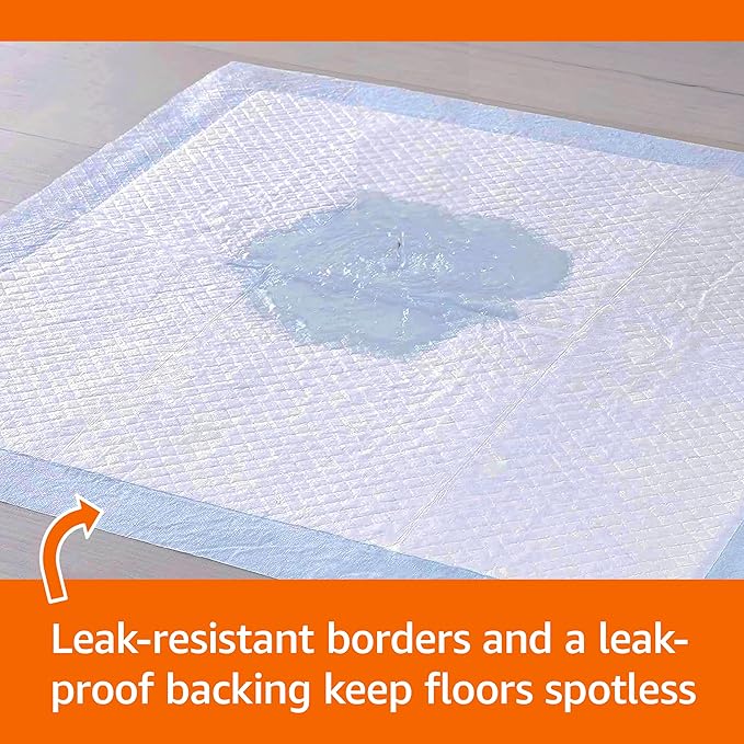Amazon Basics Heavy Duty Dog and Puppy Pee Pads, 5-Layer Leak-Proof Ultra Absorbent, Quick-Dry Surface, Potty Training, Regular (24x23"), 50 Count, Blue & White