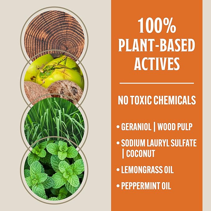 Grandpa Gus's Natural Tick Repellent Spray with Essential Oils - for Humans, DEET-Free, Up to 8 Hours of Protection, Camper Essentials, Safe Around Kids and Dogs, 4 oz (Pack of 2)