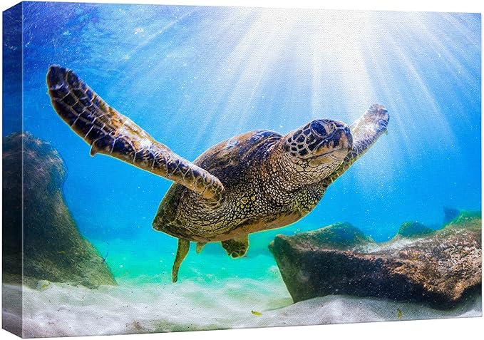 wall26 Canvas Print Wall Art Sunlight Ray Tropical Turtle Swimming Ocean Nature Animals Photography Realism Rustic Scenic Landscape Wilderness Colorful for Living Room, Bedroom, Office - 16"x24"