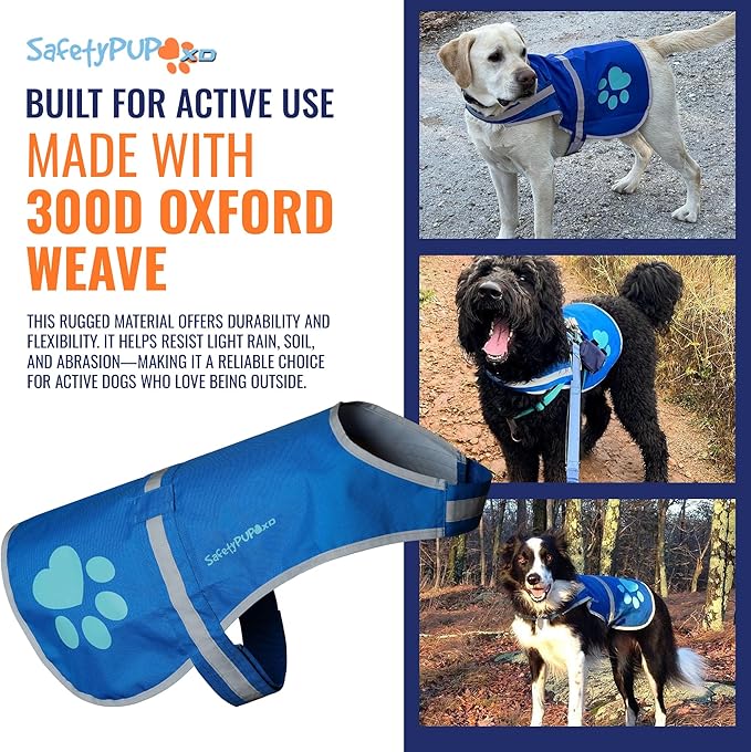 Dog Reflective Vest – Hi-Vis Fluorescent Visibility That Helps to Safeguard Your Pet On/Off Leash in Urban & Rural Areas (Blue, Medium)