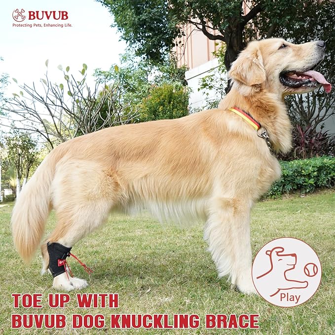 Dog Canine Knuckling Brace Rear Leg Dog Foot Brace Wrap for Toe Dragging Cause by Sciatic Nerve Insufficiency, Myelopathy, Herniated Disc (Small)