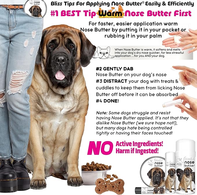 The Blissful Dog Mastiff Nose Butter for Dry, Cracked Skin, Lick-Safe Dog Nose Balm with Moisturizing Shea Butter, Almond, Olive, and Essential Oils, Pet Supplies, Uncented, 1 oz.