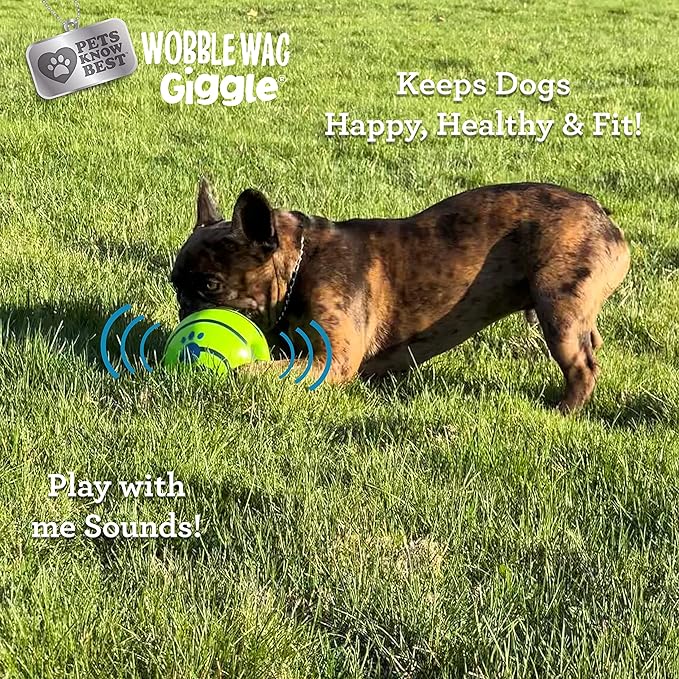 Wobble Wag Giggle & Glow | Rolling Enrichment Toy for Fun Playtime, Interactive Play for Indoor or Outdoor, Keeps Dogs & Puppies Large, Medium or Small Busy & Moving, As Seen on TV | Pack of 2