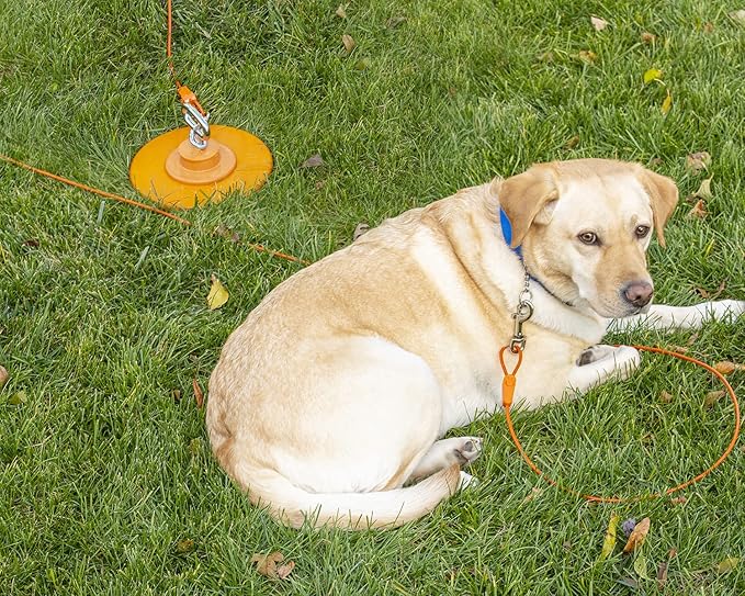 25FT Tie-Out Cables for Dogs - Strong, Safe, and Durable Dog Tie-Outs for Every Breed up to 250 Pounds - Weather and Wear Resistant Galvanized Aircraft Cable for Outside Use