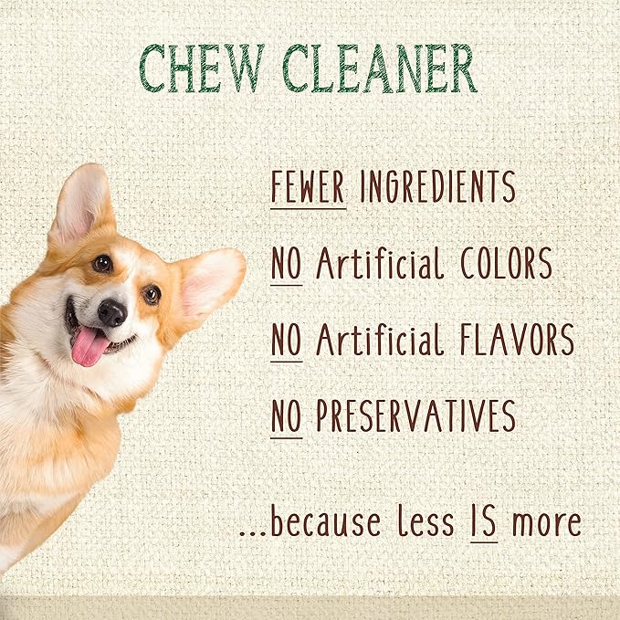 Nylabone Nutri Dent Dog Dental Chews - Natural Dog Teeth Cleaning & Breath Freshener - Dental Treats for Dogs - Filet Mignon Flavor, Mini (32 Count) (Pack of 2)