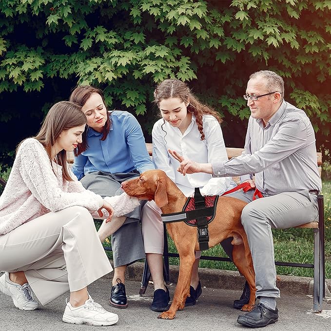 Dogline Dog Harness, Reflective No-Pull Adjustable Vest with Handle for Walking, Training, Breathable, No - Choke Harness for Small, Medium or Large Dogs Room for Patches Zebra Black/Red M 22"-28"