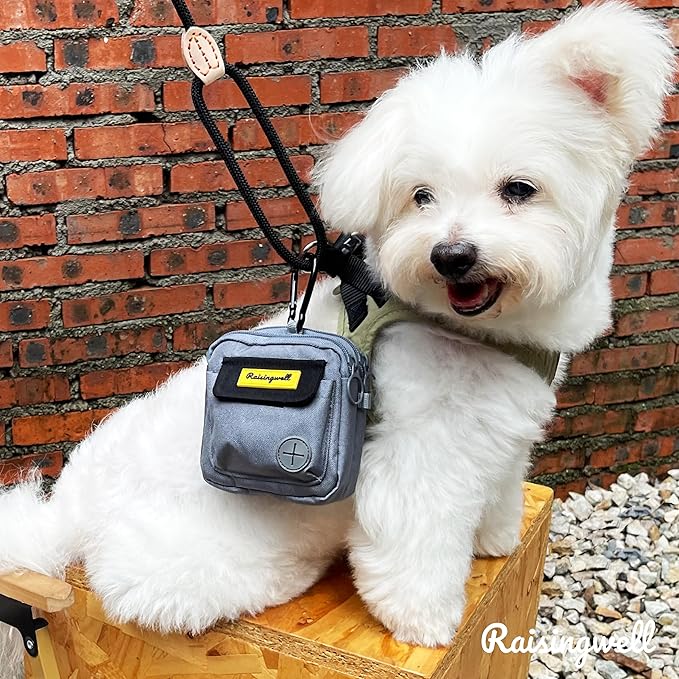 Dog Treat Pouch for Pet Walking and Training with Clicker Poop Bags and Three Bags Design Small Fanny Zipper Pack Holder for Puppy Snack Dispenser Kit for Leash and Outdoor Use (Gray)