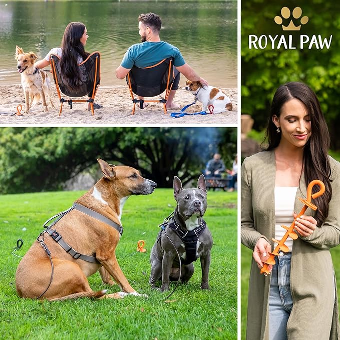 ROYAL-PAW Dog Tie Out Stake - for Large Dogs up to 210 lbs - Heavy Duty Dog Stake for Yard, Beach & Camping Outside - Best in Ground Anchor for a Dog Cable, Leash, Lead Tether (1, Midnight Black)