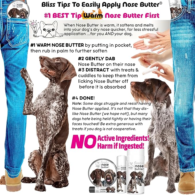The Blissful Dog German Shorthaired Pointer Unscented Nose Butter, 0.15 Ounce
