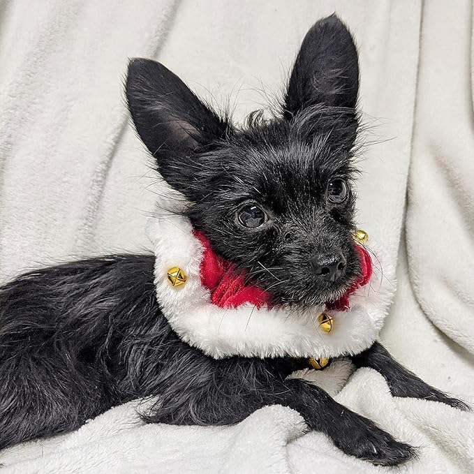 Huxley & Kent Ruff Pet Scrunchy | Santa (Small) | Festive Christmas/Holiday Neckwear for Dogs/Cats | Fun Stretchable Costume Accessory | Soft Collar with Bells